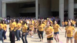 Boston College Senior Class Flash Mob 2011