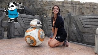 BB8 and R2D2 - Star Wars Galaxy's Edge - Disney's Hollywood Studios