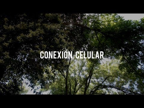 Televisores - Conexión celular