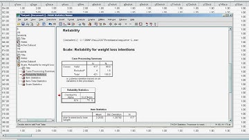 spss scale reliability.avi