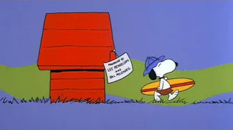 Snoopy Rides a Wave and Gets Barreled (1972)