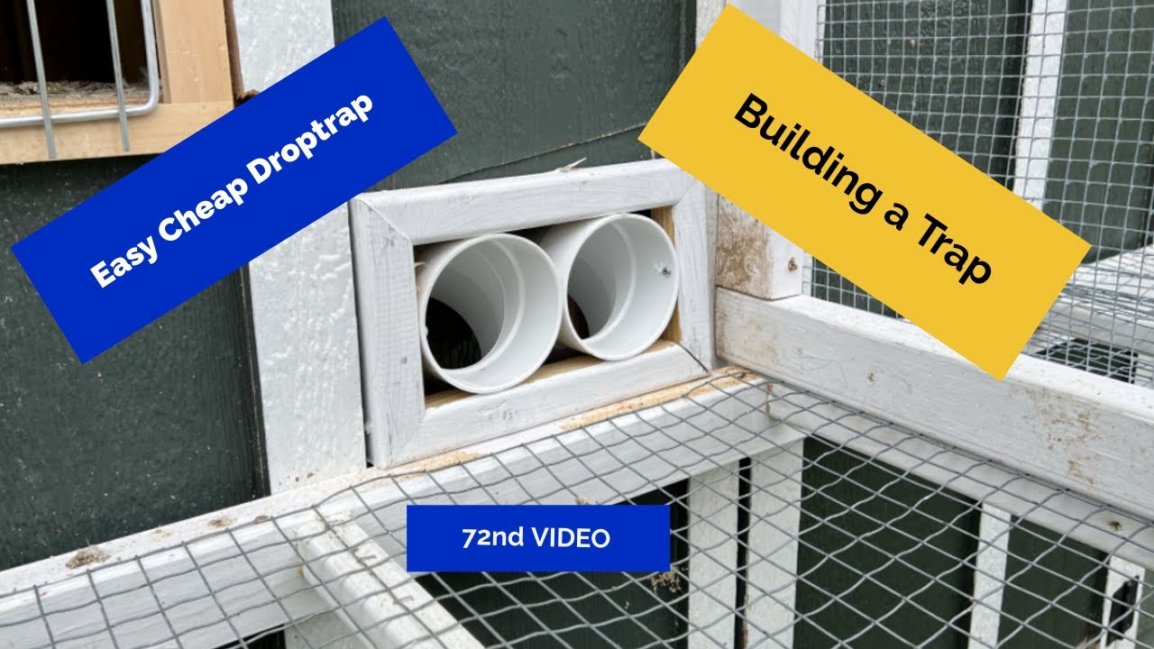 DIY Cheap Easy Drop Trap YouTube