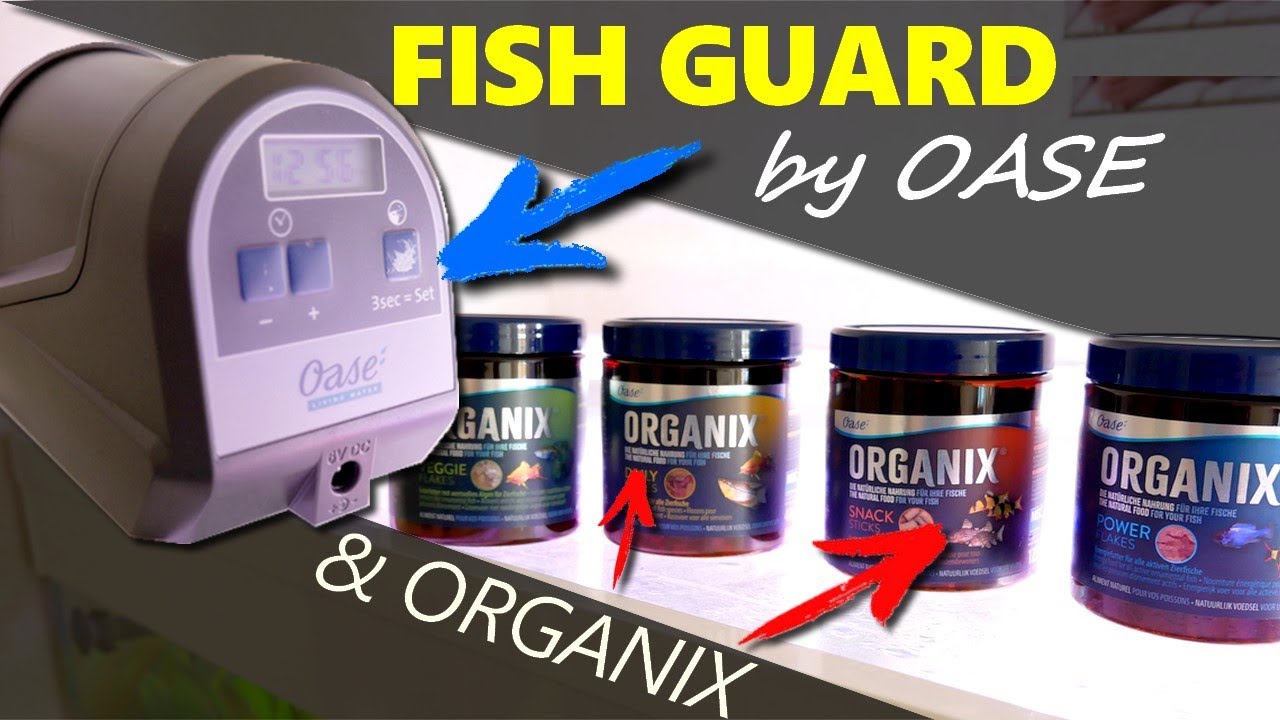 Distributeur automatique de nourriture pour poissons : Oase FishGuard