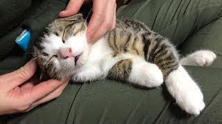 お母さんの太ももでぐっすりと眠るデコがかわいい