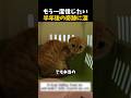 【感動】首に食い込んだ絶望からの奇跡