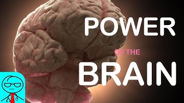 How POWERFUL is the Human Brain?