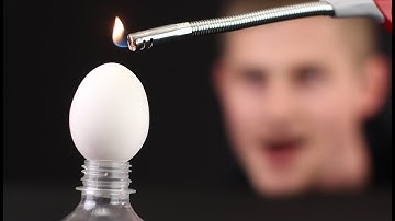 Top 10 Egg Tricks and Science Experiments | 20 most useful KNOTS in life