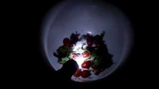 How To Eat Light Spin Salad