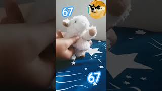 profesora 67