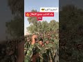 الحشد الشعبي يتوعد بأخذ الثار من تركيا