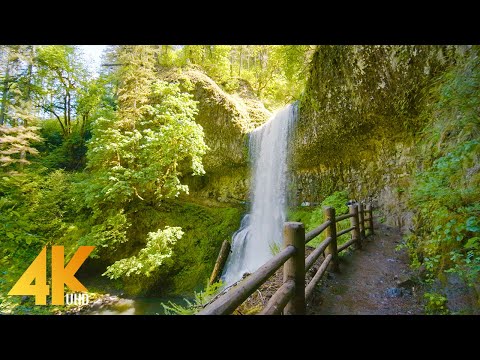 3,5 HRS Summer Forest Walk in Oregon's Park - 4K Nature Sounds of South Falls & Maple Ridge Loop