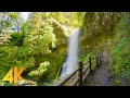 Promenade en fort dans le parc de loregon avec les sons de la nature de south falls