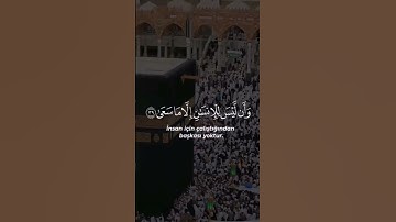 ( وأن ليس للإنسان إلا ما سعى ) -  القارئ محمود الحصري