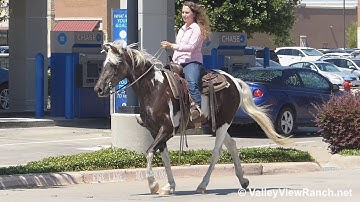 Bertolet Twilight Sparkle - riding in town! - ValleyViewRanch.net