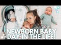 24 HOURS with a NEWBORN BABY!! Sleep & Feeding Routine and Day In the Life VLOG!