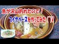 魚が沢山釣れたのでアラでブイヤベースを作ってみた☆彡