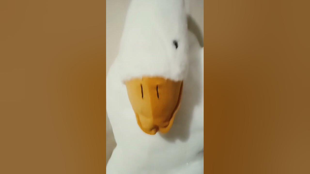 классная фотка ты крутой🤪 - YouTube