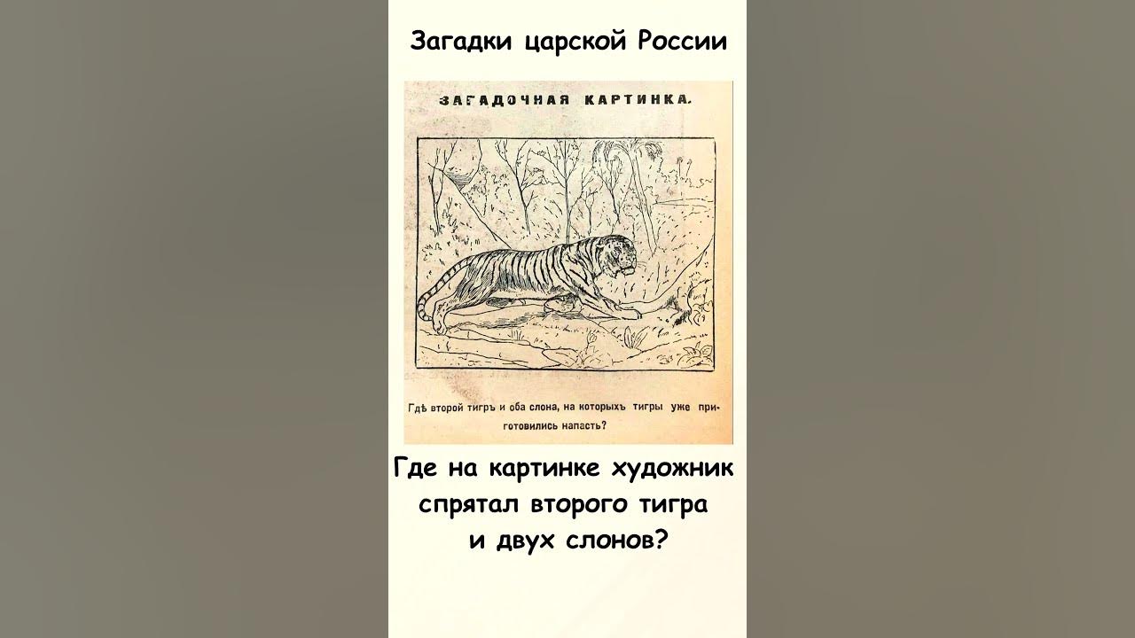 На выходе всегда касса рассказ на дзен. На выходе всегда касса рассказ на дзен. На выходе всегда касса рассказ на дзен. Касса 3 в 1. Дзен рассказы.