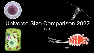 Universe Size Comparison 2022-Part 9
