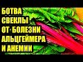 Свекольные листья для борьбы с болезнью Альцгеймера и анемией  # топ5хайп