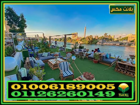 حصريا سعر متر النجيل الصناعي في مصر بأرخص سعر من شركة بلانت ماكس