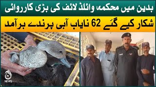 Major operation by Wildlife Department in Badin | 62 rare water birds were recovered | Aaj News