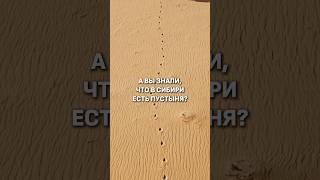 В СИБИРИ ЕСТЬ ПУСТЫНЯ?😱