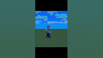 Steve Run Animation
