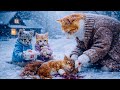Mama Cat and Two Baby Cats Rescued a Baby Squirrel 🐿️ in a Snowstorm 🐣❄️