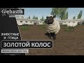 Золотой Колос для FS19 ► Животноводство и птицеводство - обзор обновления ◄ Farming Simulator 19