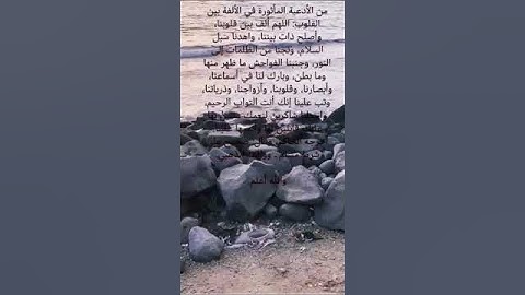 سورة يوسف . الاية 83 .  #لايك #اكسبلور