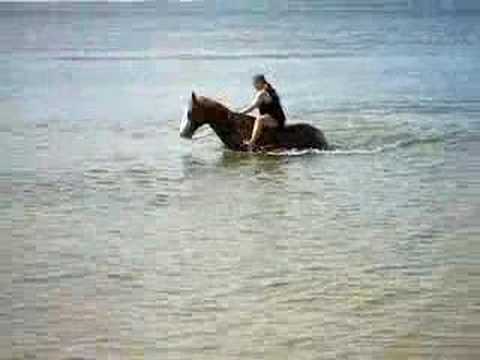 Lori & Courtney swimming w/ their horses