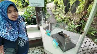 Butterfly Park, Tabanan, Bali