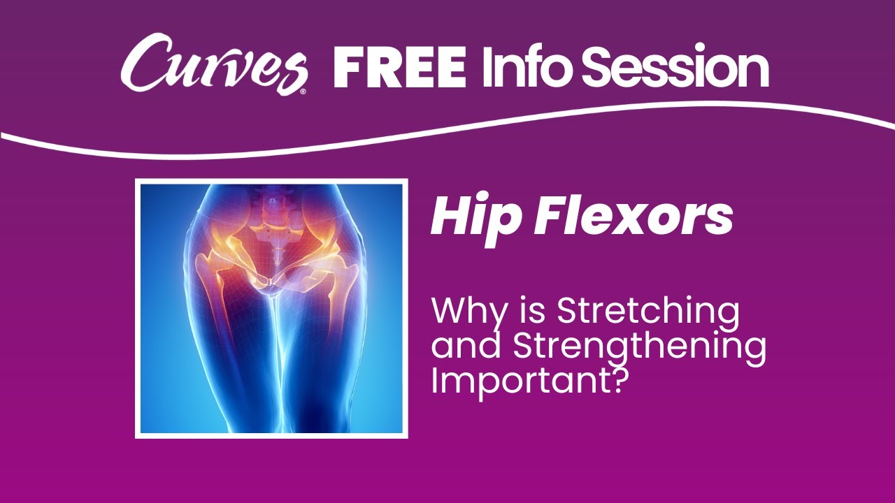 Hip Flexors Why is Stretching and Strengthening Important 05 31 2023
