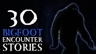 30 SCARY BIGFOOT SIGHTINGS - THEY LURK DEEP IN THE WOODS