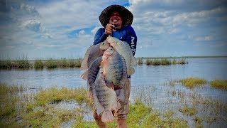 Pesca y Cocina de TILAPIAS GIGANTES