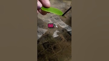 LEAF🍃VS INK || ink moves on water|simple science experiment|| #viral#trending#experiment#science