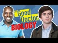 Interactive Biology TV Quiz on 'The Good Doctor' Episode 'Trampoline'