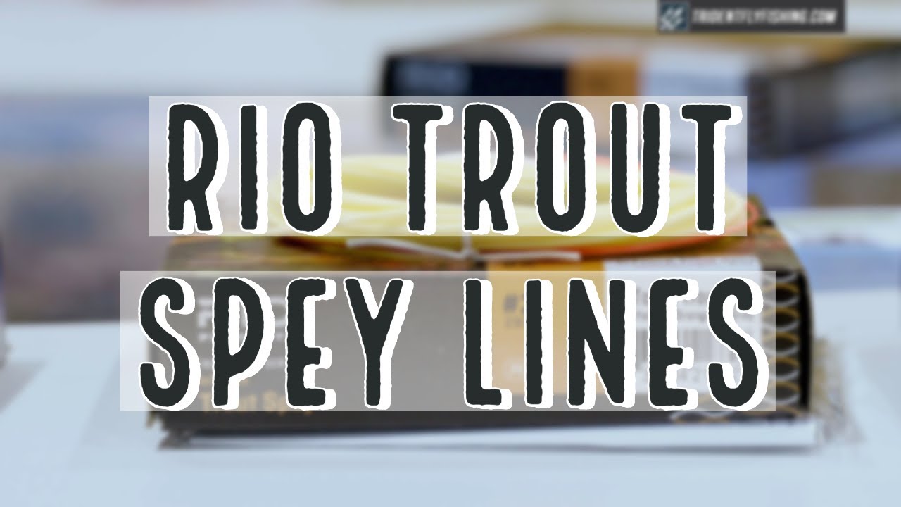 Rio Spey Line Chart