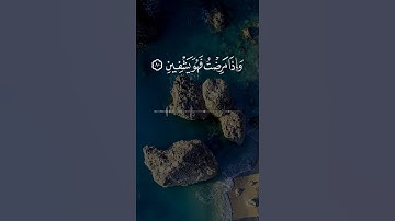 الذين خلقني فهوا يهدين رعد الكردي تلاوات قصيره حالات واتس آب قرآن رعد الكردي اجمل تلاوات القران