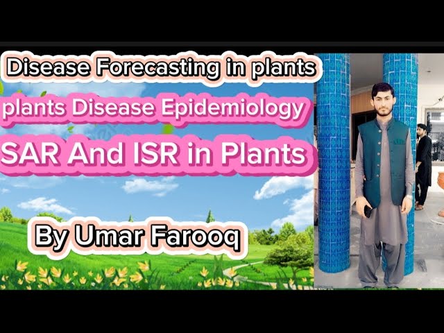 Disease Forecasting/Epidemiology/ SAR and ISR in plants by Umar Farooq