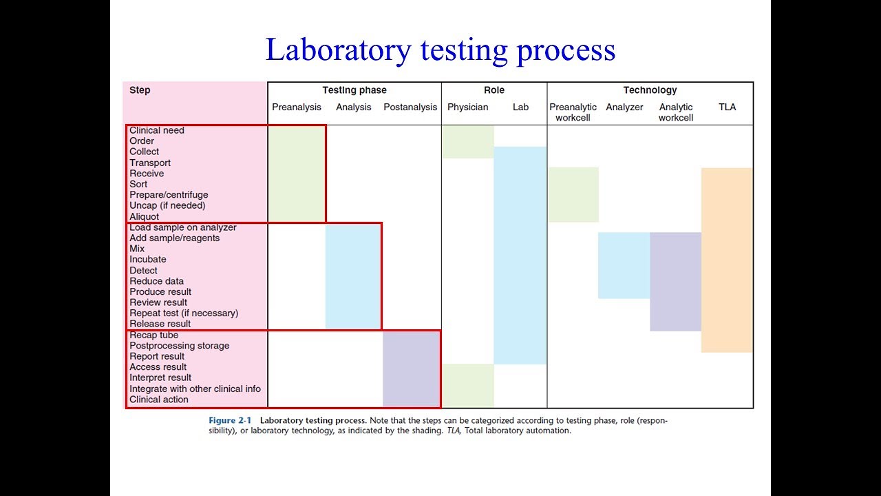 Clinical Lab Class 8, Workflow in clinical laboratory