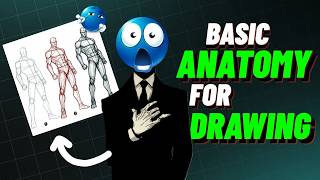 Level Up Your Drawings: Basic Anatomy Explained