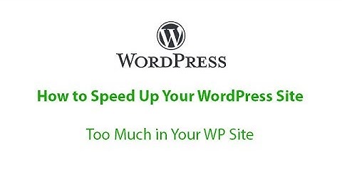 Too Much in Your WP Site | How to speed up your WordPress site