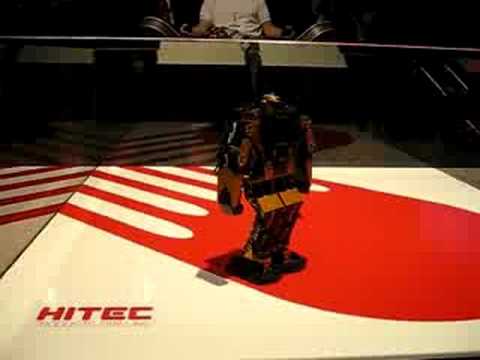 ONS2008 - ROBOT flip back