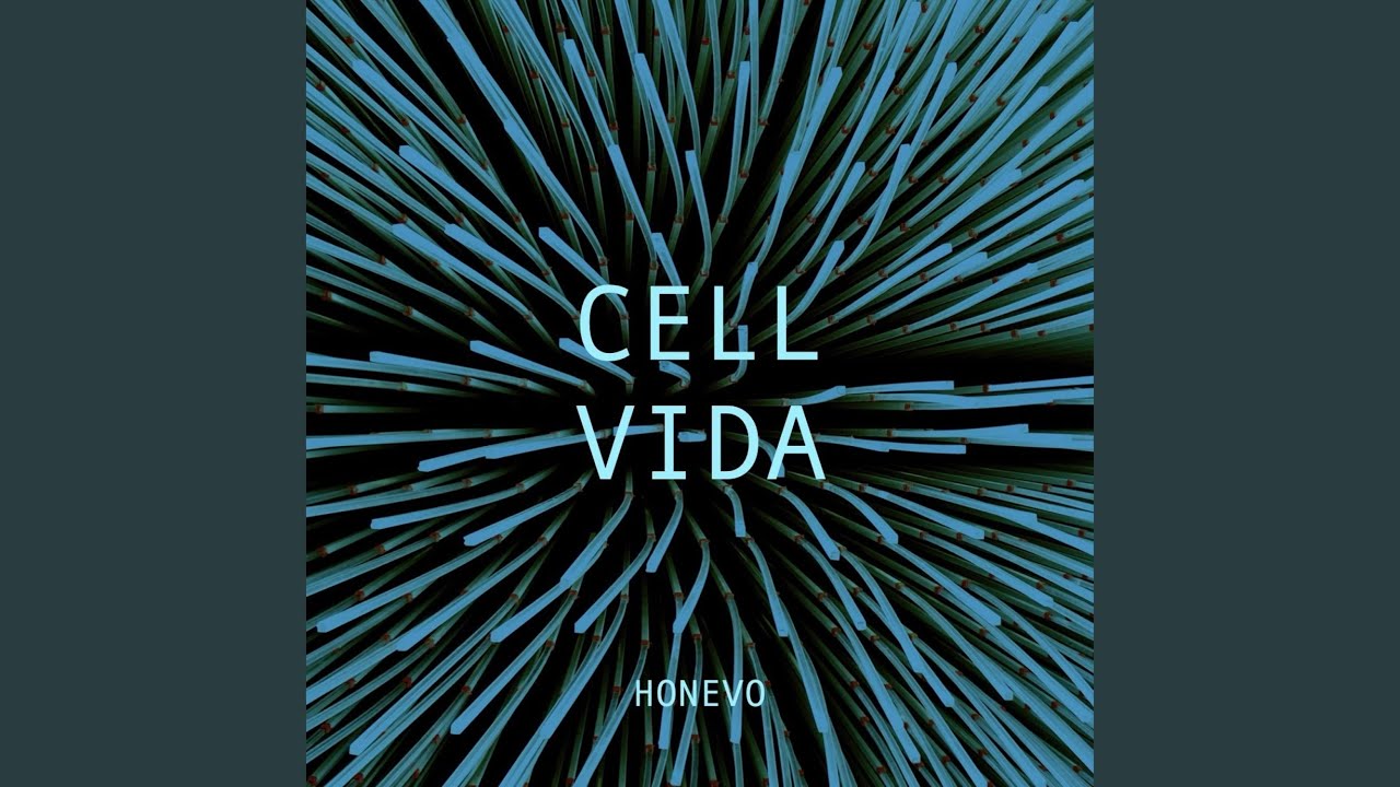CELL VIDA