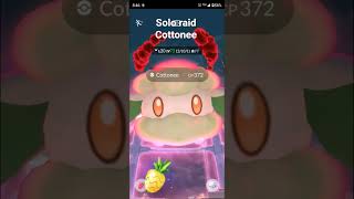 Solo raid Dynamax Cottonee evolve Dynamax Whimsicott