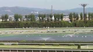 20130428 天皇賞（春） フェノーメノ The Imperial Award （Spring） Fenomeno