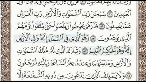 سورة الزخرف الصفحة 495 الشيخ محمد صديق المنشاوي