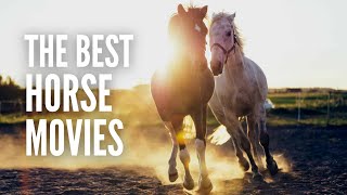 25 Best Horse Movies You Should Totally Watch